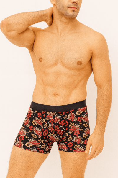 Мъжки боксер 4434