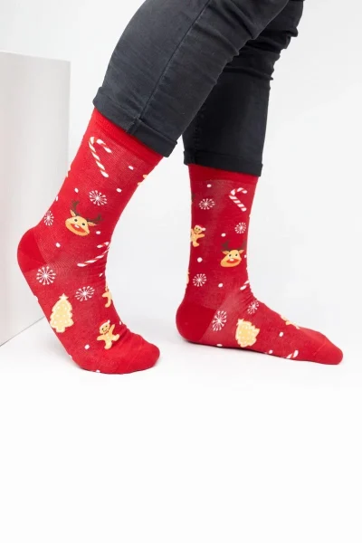 Коледни мъжки чорапи 19791m