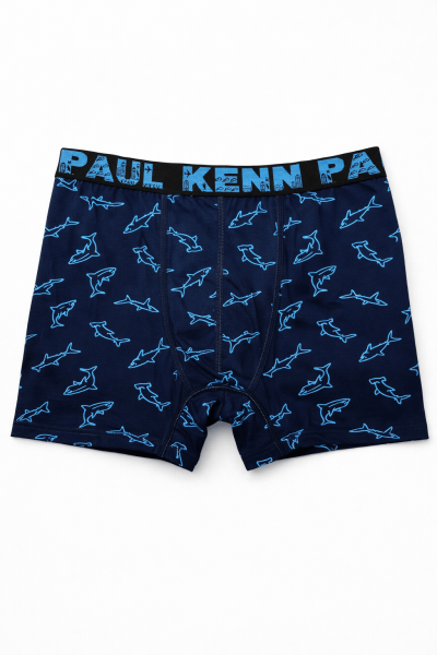 Мъжки боксер 008-24