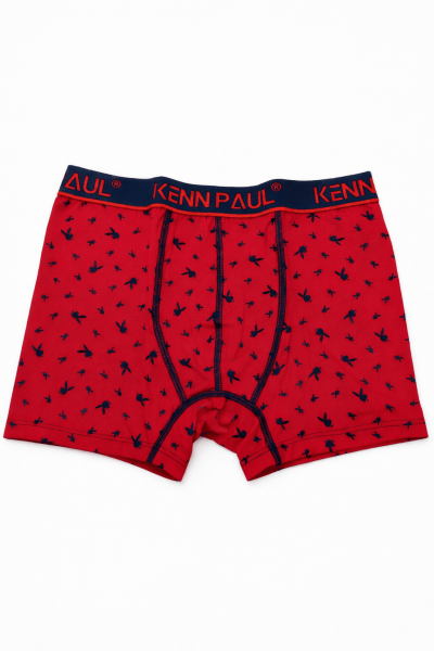 Мъжки боксер 008-27